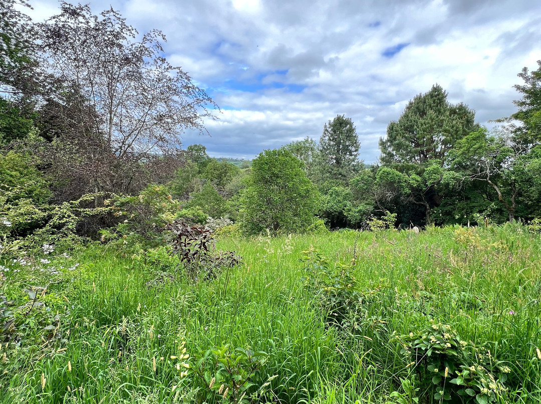 Moors Meadow Gardens-Bromyard必去景点