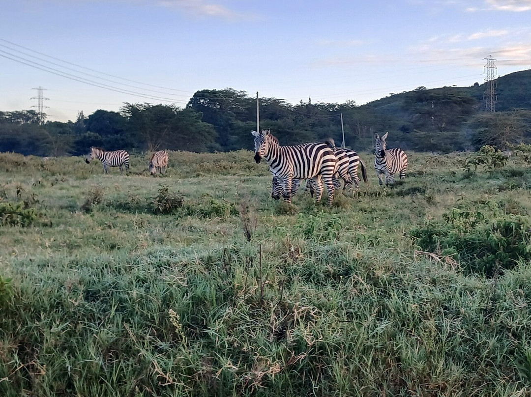 LAKE NAKURU NATIONAL PARK-纳库鲁湖国家公园必去景点