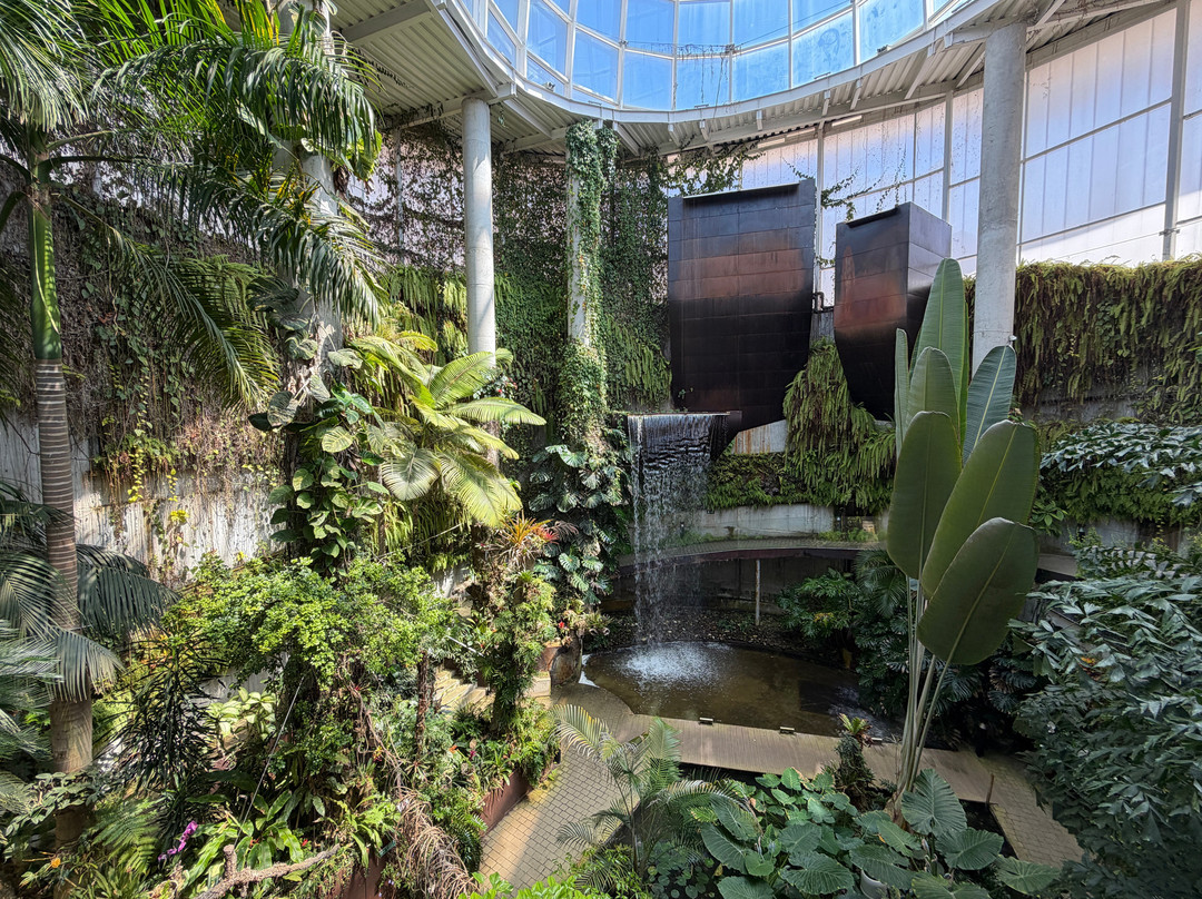 Orquidario de Estepona-埃斯特波纳必去景点