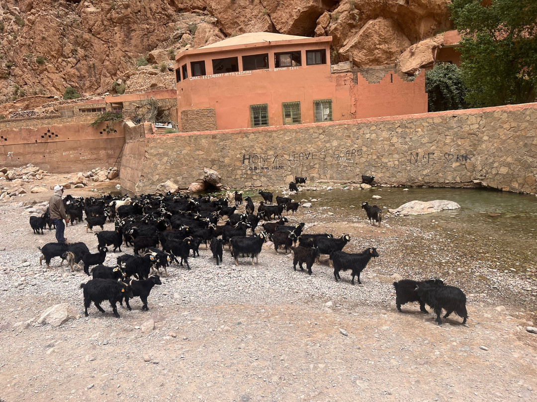Desert Merzouga Tours-非斯必去景点