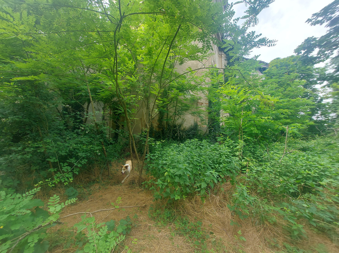 Chiesa della Madonna delle Vigne-Trino必去景点