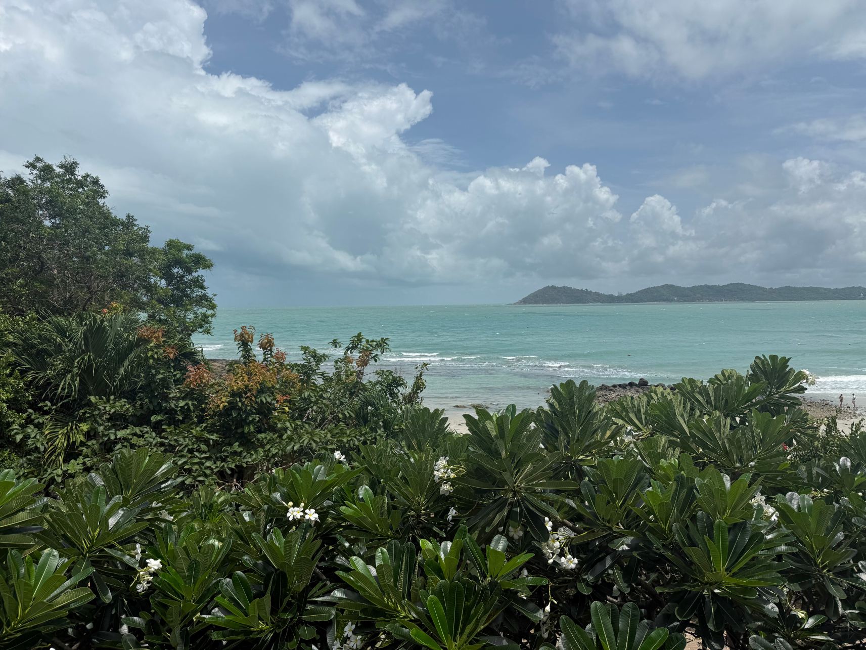 乐维曼小屋及水疗中心-旅行者
