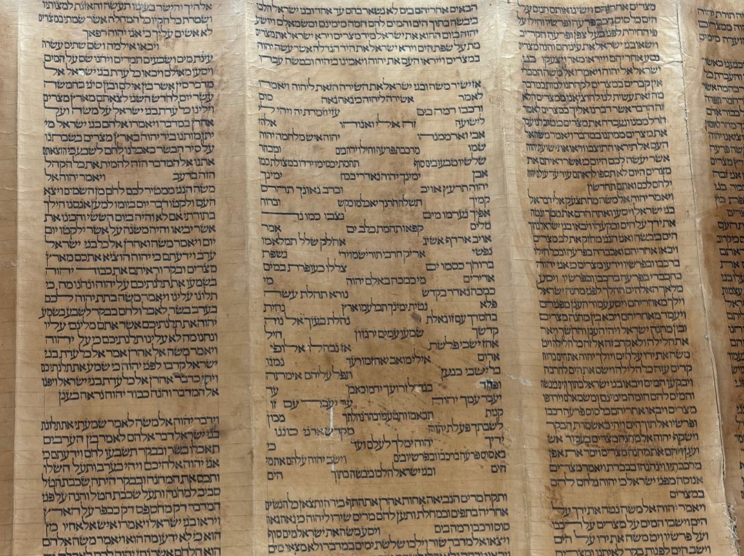 Congregation Mickve Israel-萨凡纳必去景点