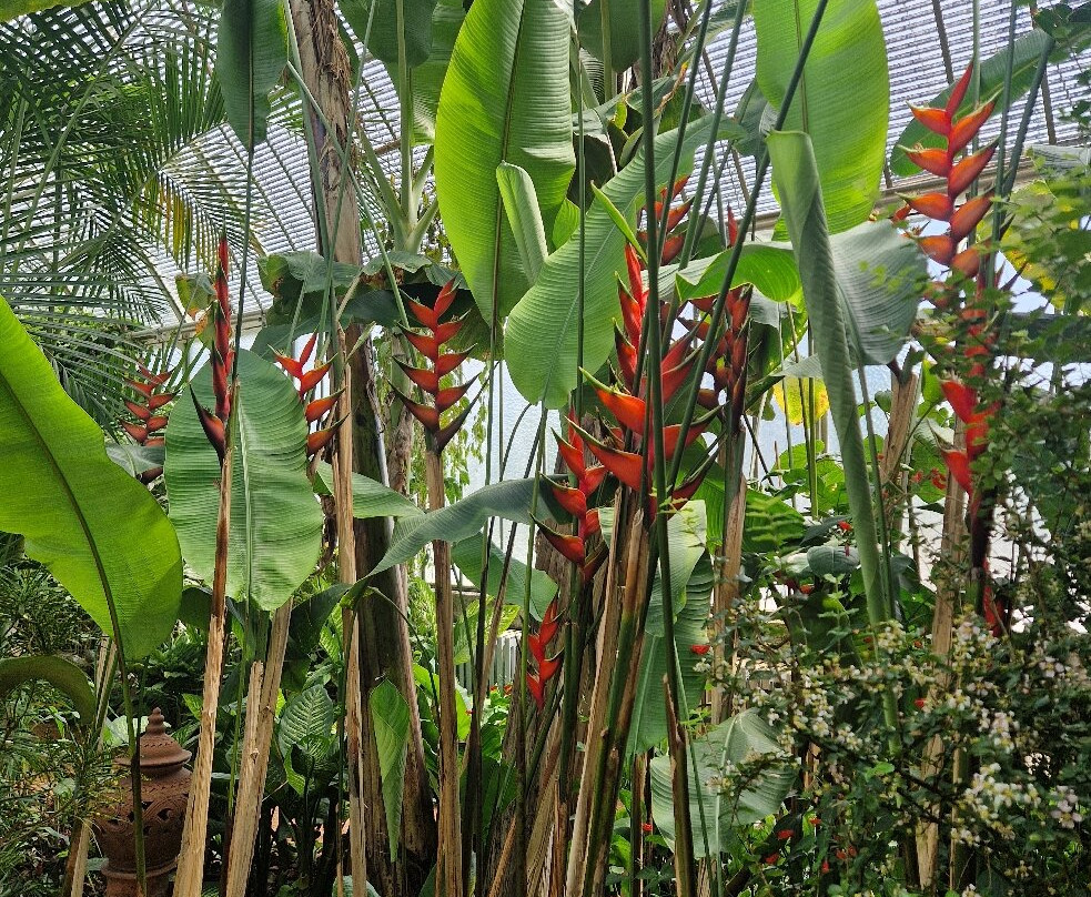 Jardin botanique de Genève-Pregny-Chambesy必去景点