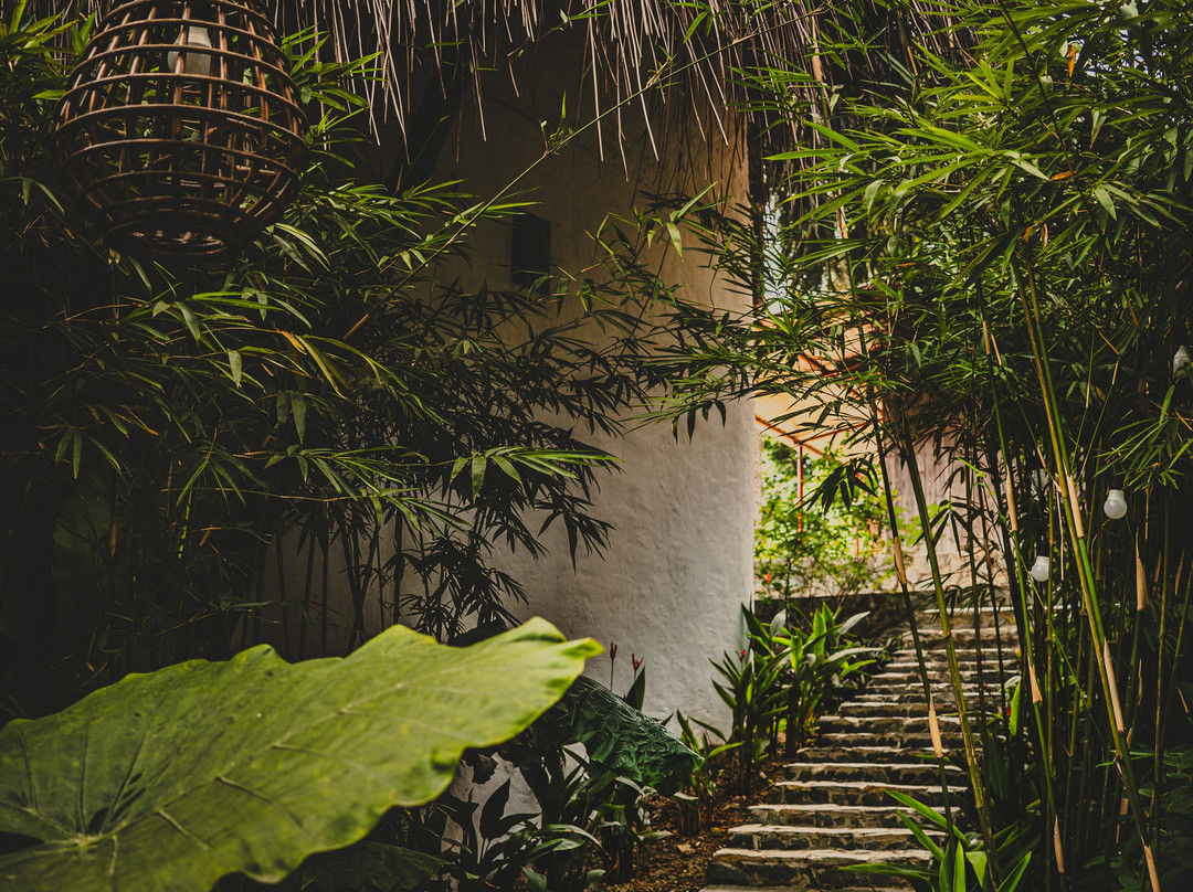 Bamboo Hill
