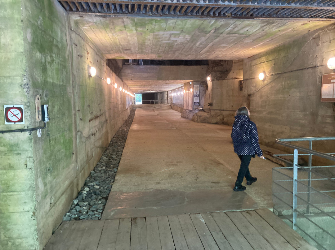Blockhaus d'Eperlecques-Eperlecques必去景点