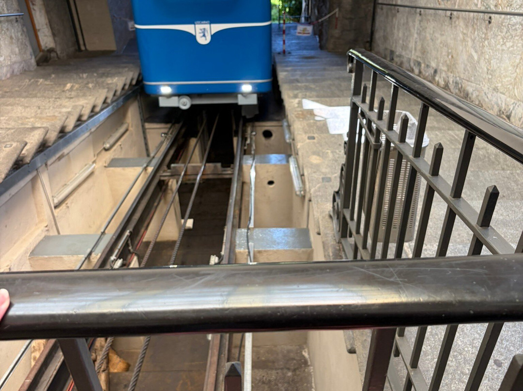 Vigezzina-Centovalli Railway-多莫多索拉必去景点