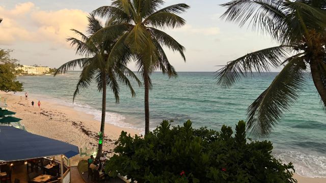 珊瑚雾海滩酒店-旅行者