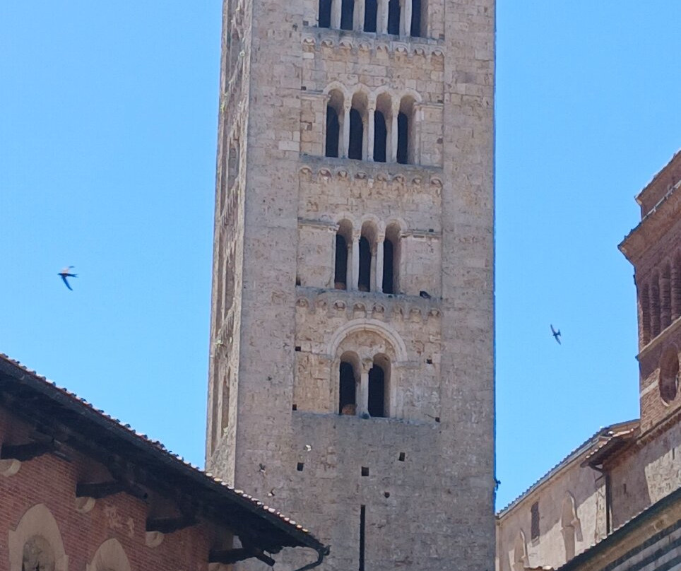 Cattedrale di San Cerbone-马萨马里蒂马必去景点