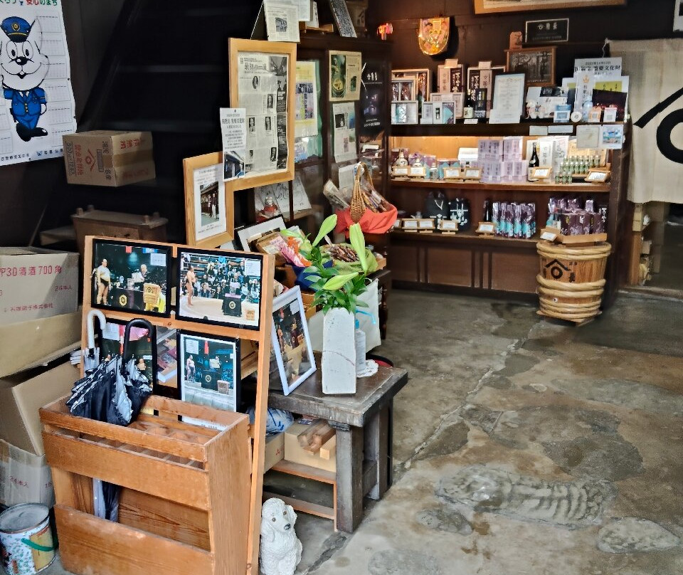 Yuasa Important Traditional Building Preservation Area-汤浅町必去景点