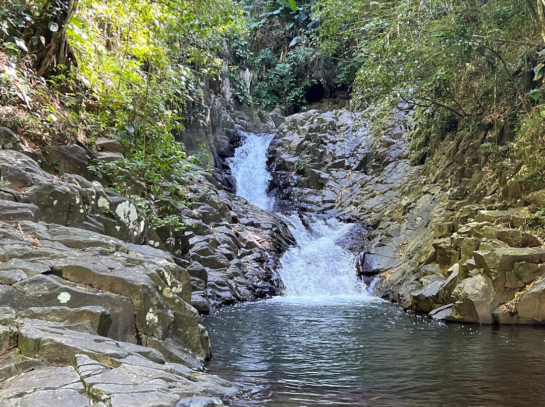 Cascade De La Riviere Carbet-Le Carbet必去景点