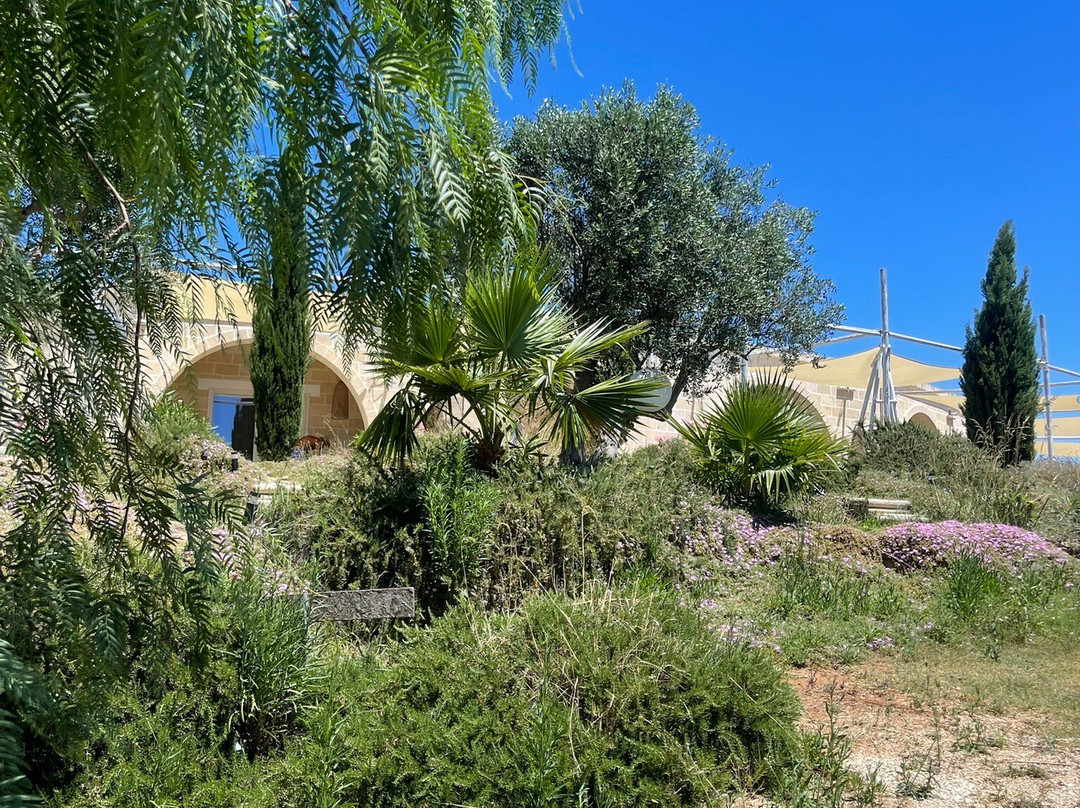 Masseria a libeccio