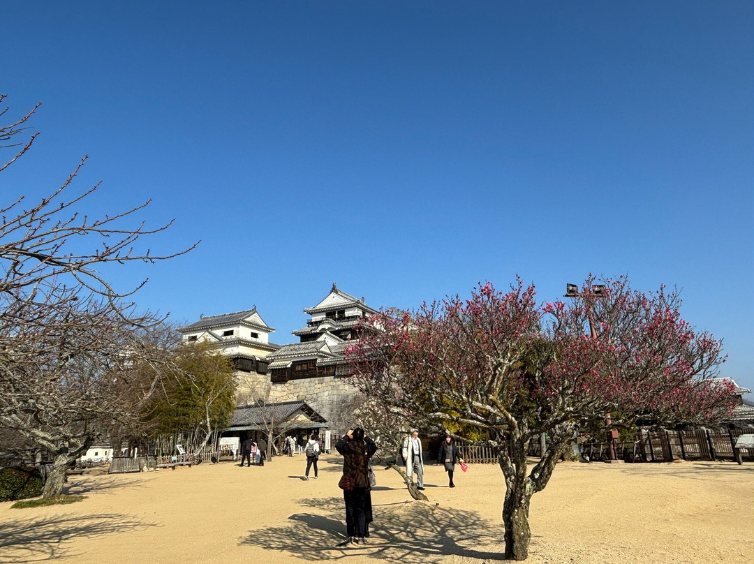 松山城-松山市必去景点