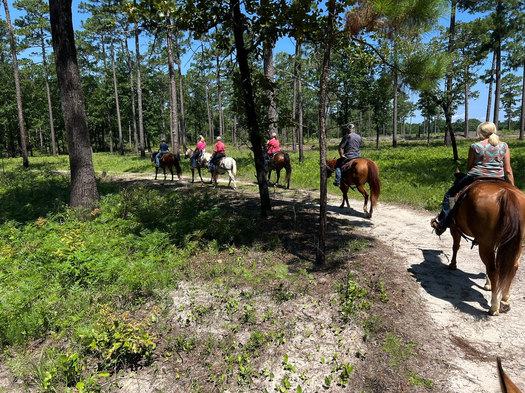 Historic Blakeley State Park-Spanish Fort必去景点