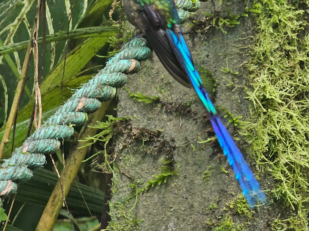 San Tadeo Birding-明多必去景点