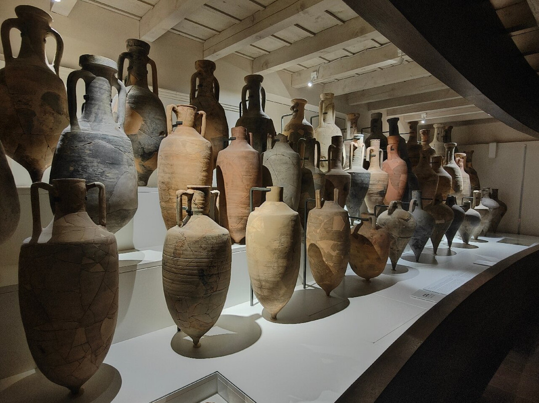 Museo Delta Antico-科马基奥必去景点