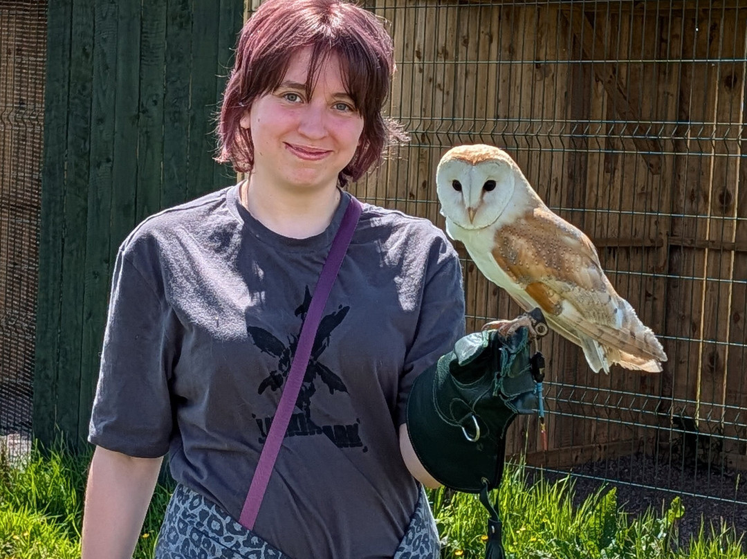 Fiáin Experiences - Wild Atlantic Wildlife Park-丁格尔必去景点