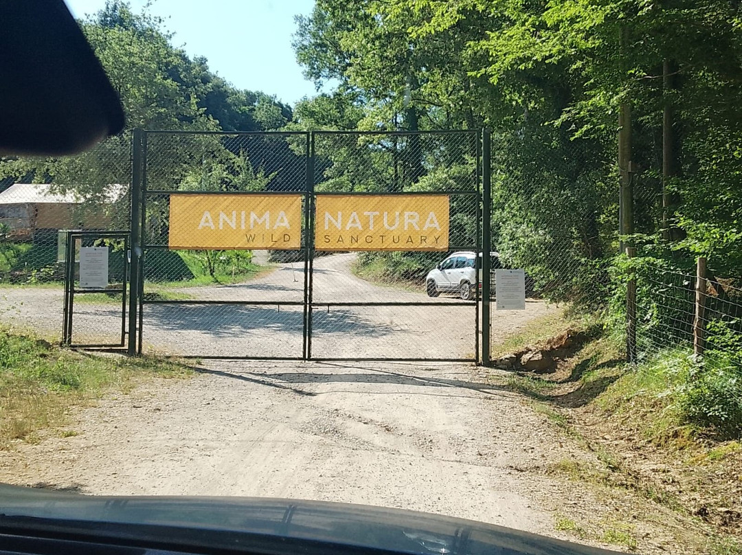 Animanatura