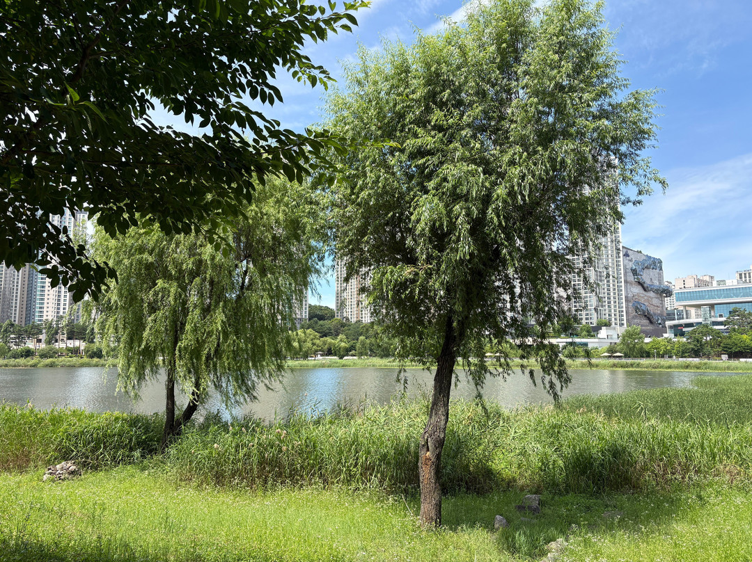 Gwanggyo Lake Park-水原市必去景点