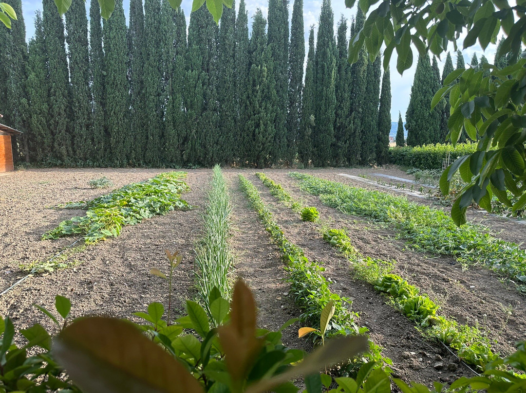 Agriturismo - La Campagna di San Francesco