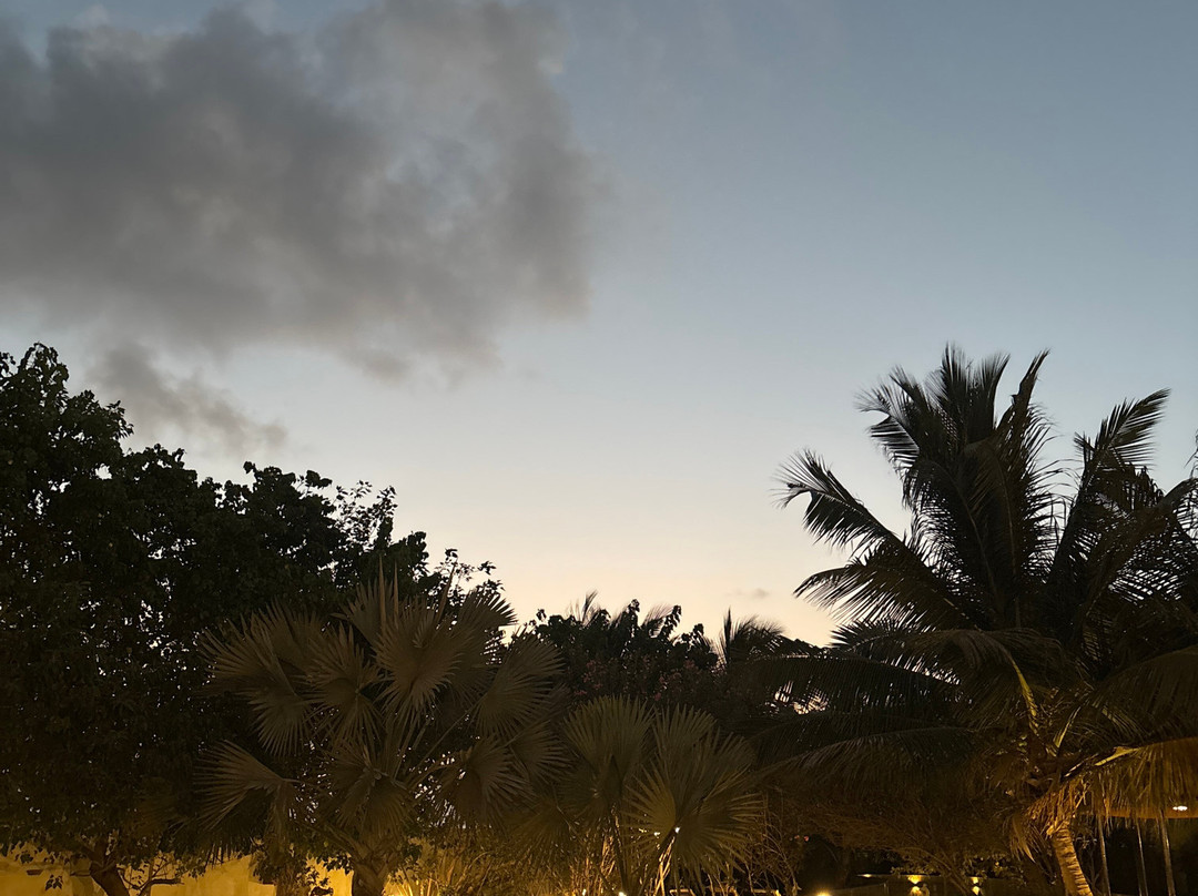 The Fern Sattva Resort Dwarka, Series by Marriott主图