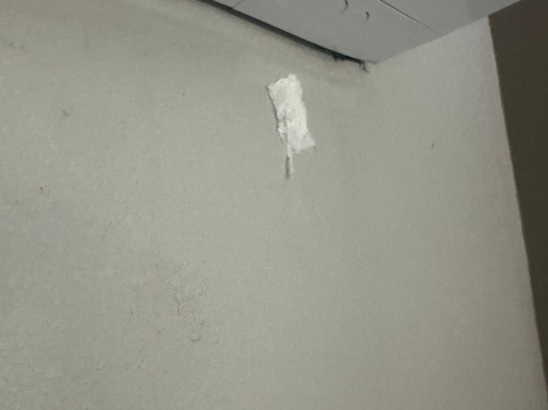 贝斯特韦斯特优质大学酒店及会议中心主图