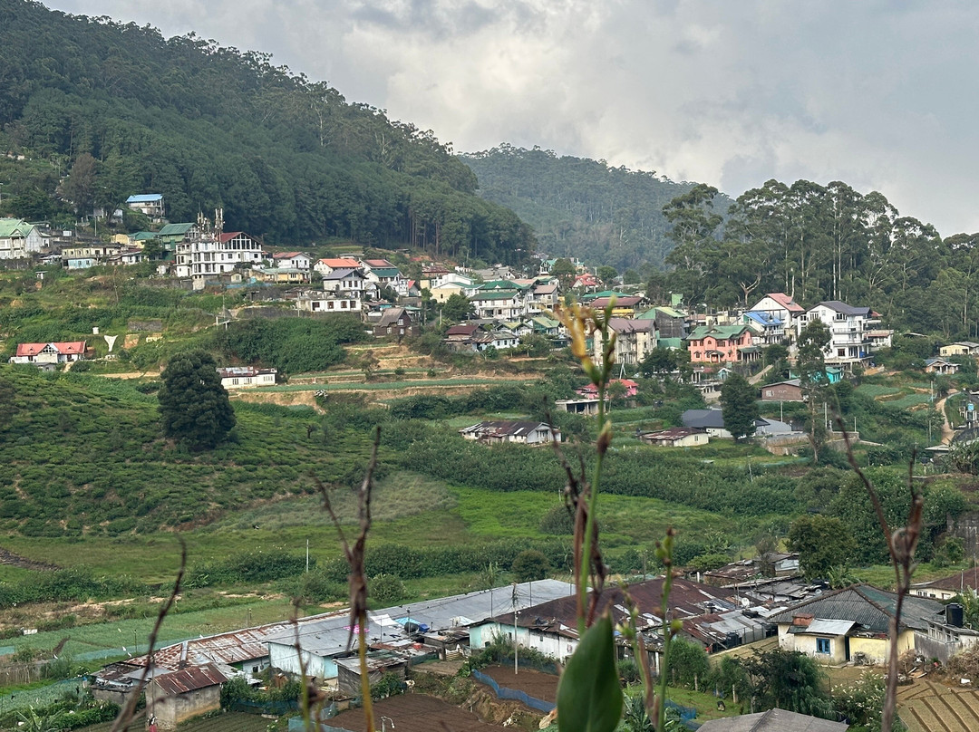 Damro Labookellie Tea Centre and Tea Garden-奴娃拉伊利雅必去景点