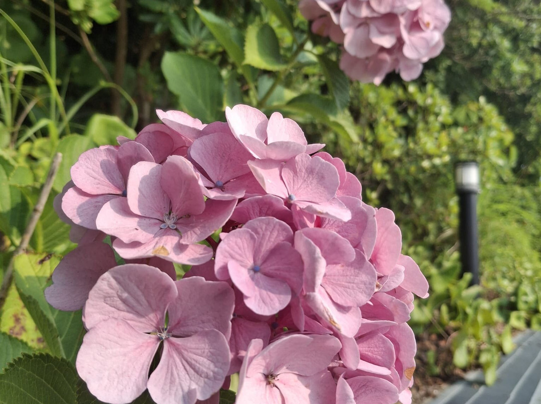 鳴門公園-鸣门市必去景点