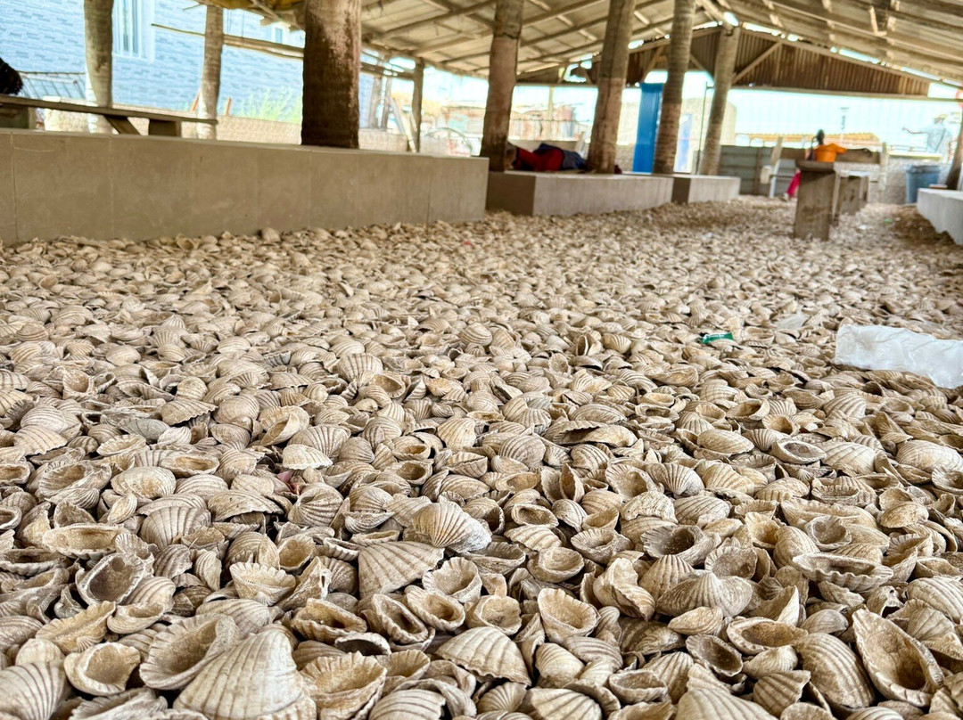 Triptoursenegal-达喀尔必去景点