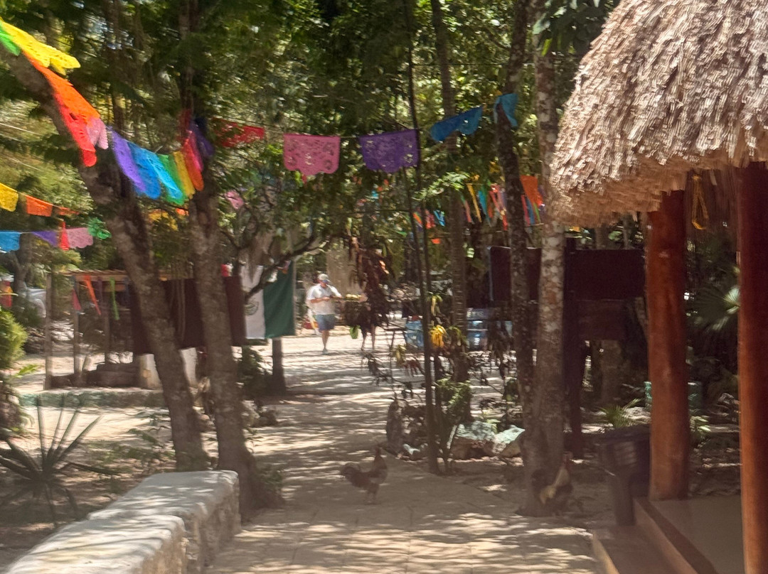 Cenote 7 Bocas-从莫雷洛斯港必去景点