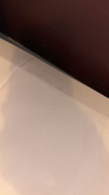 戴尔罗格酒店-客卧