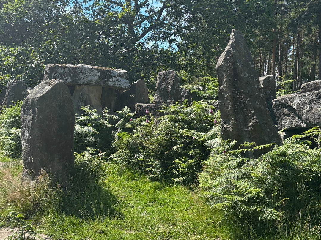 Druids Temple-里彭必去景点