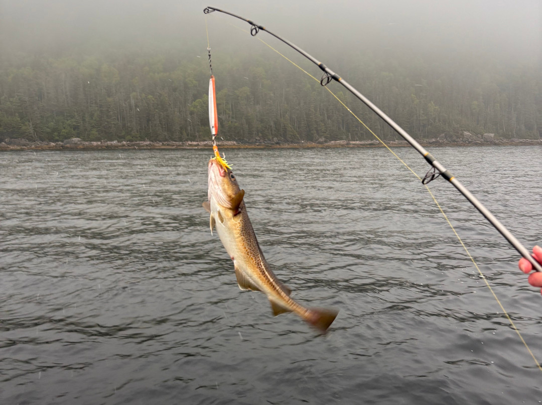 Wild Gros Morne-Trout River必去景点