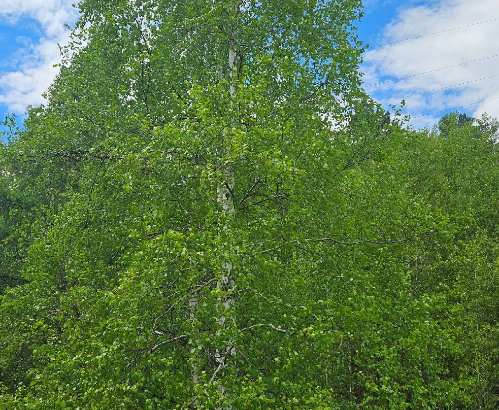 空中索道-利斯特维扬卡必去景点