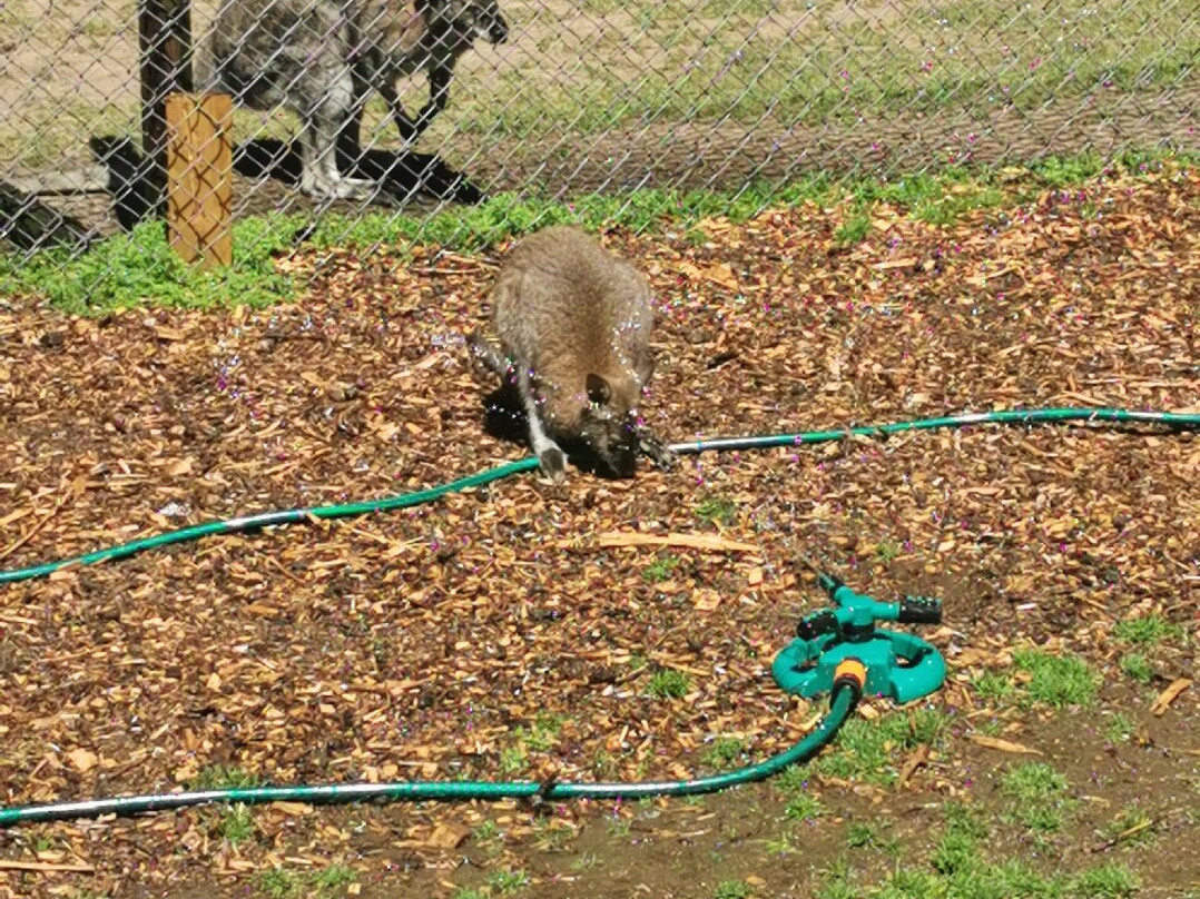 Manor Wildlife Park-St. Florence必去景点
