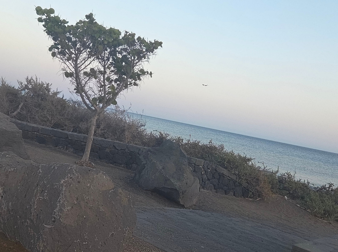Playa de los Pocillos-卡门港必去景点