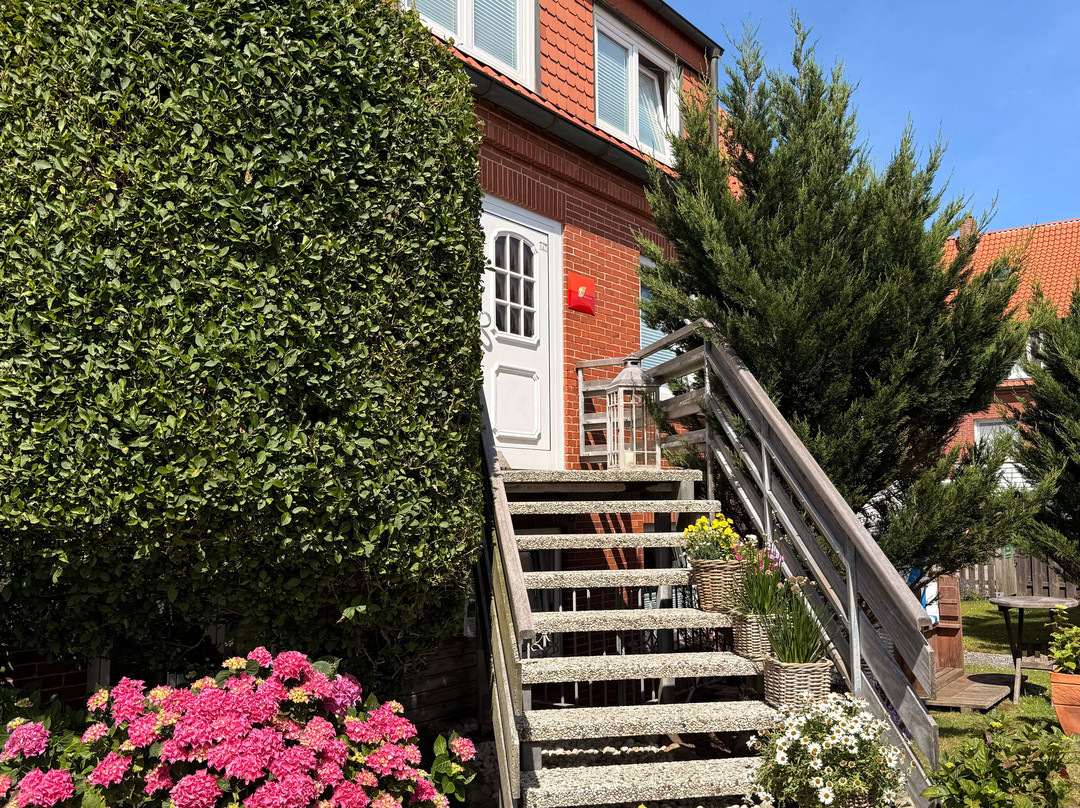Haus AnNatur Bio Pension & Appartements主图
