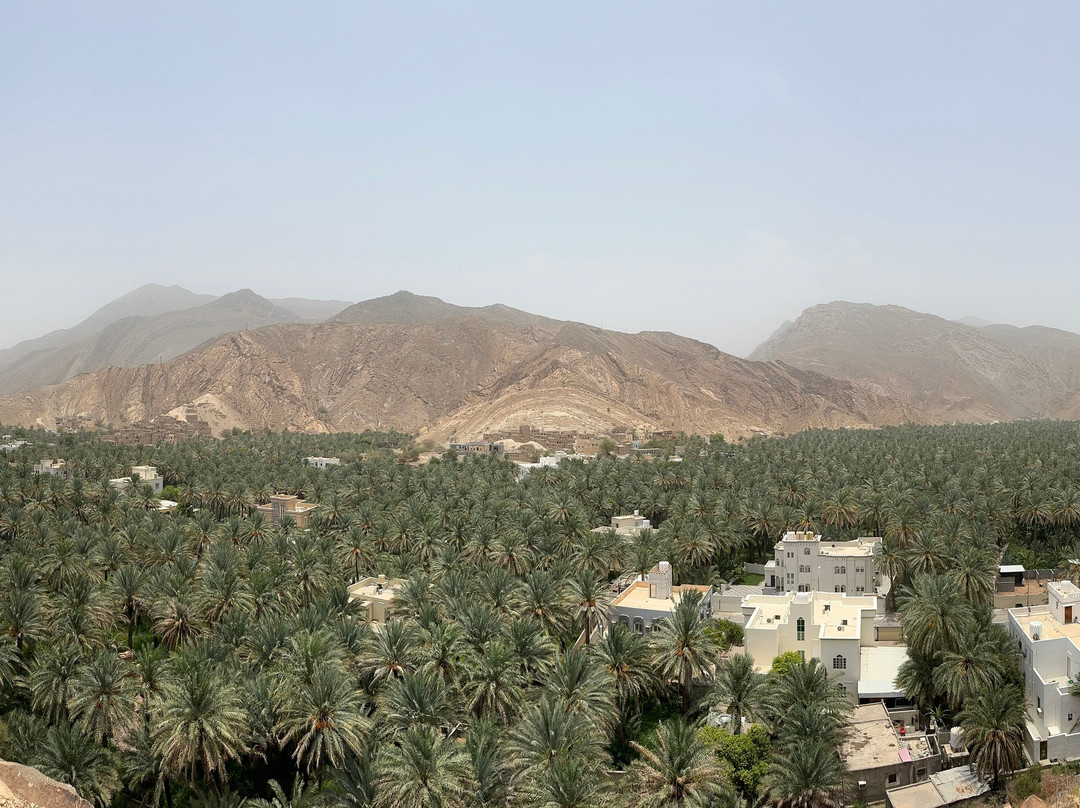 Muscat Nature Tours - Day Tours-马斯喀特必去景点
