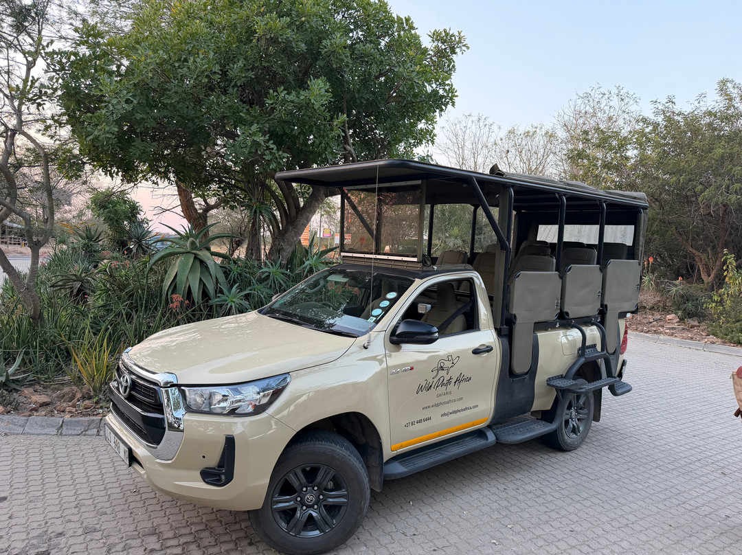 Kruger National Park Safari Specialists - Tours & Safaris-白河必去景点