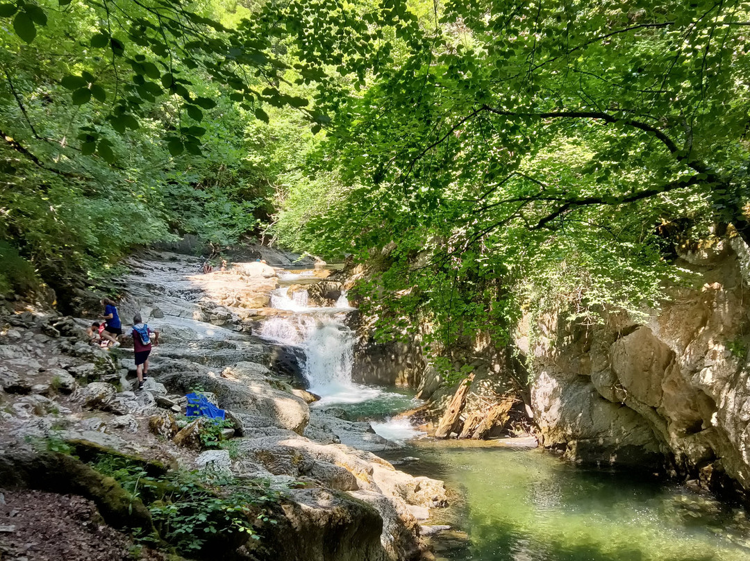 Selva de Irati-纳瓦拉必去景点