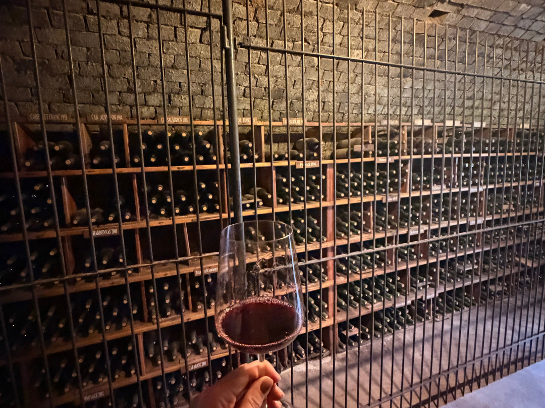 Dal Pizzol Vinhos Únicos-本图贡萨尔维斯必去景点
