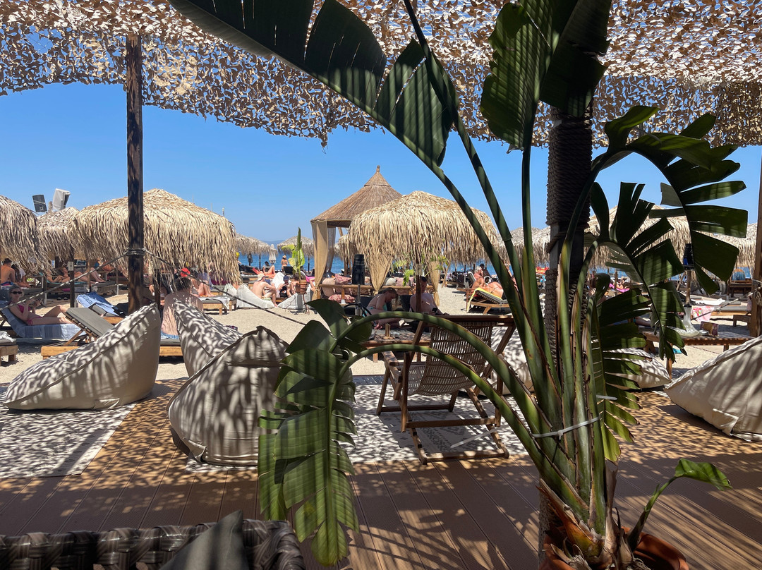 Papa's Beach Bar-Kos Town必去景点