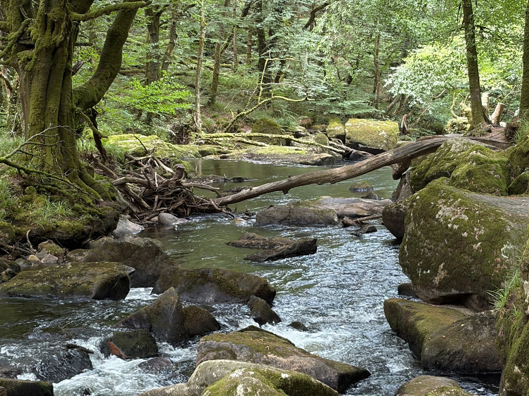 Golitha Falls-利斯卡德必去景点