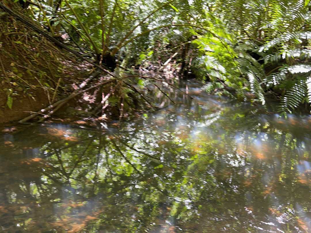 Twin Falls Maui-毛伊岛必去景点