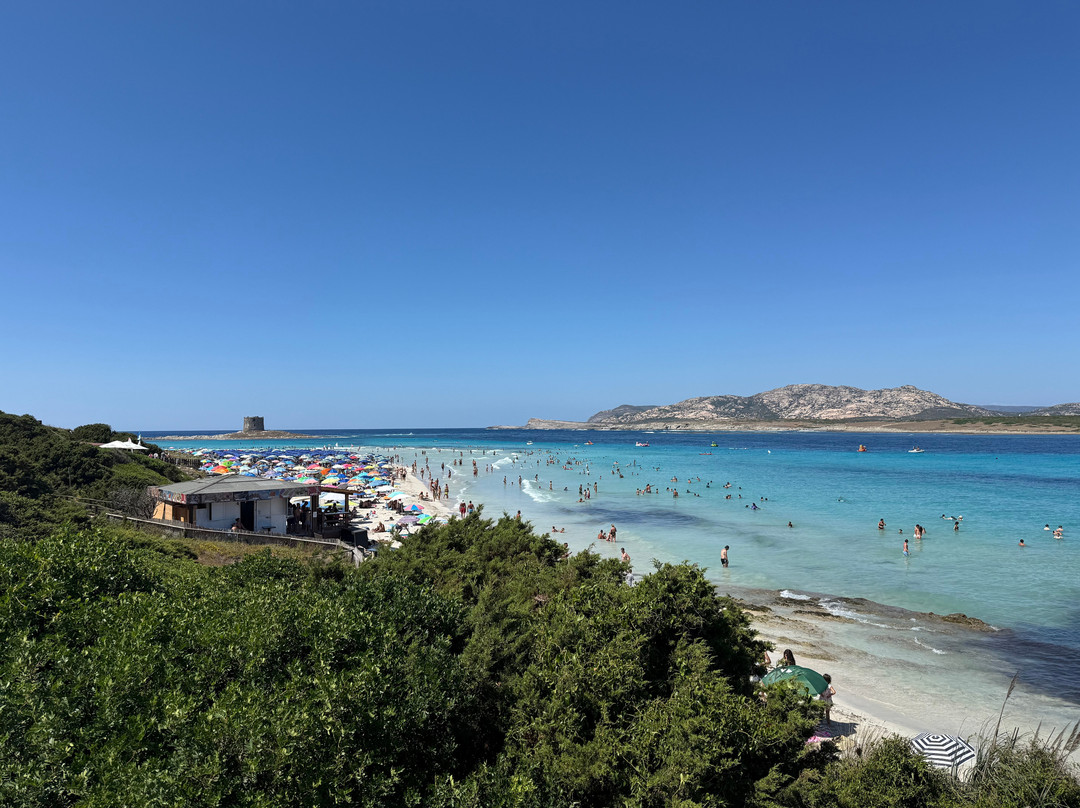 La Pelosa Beach-斯廷蒂诺必去景点