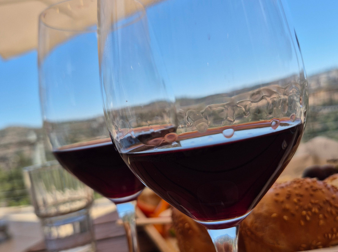 Domaine du Castel Winery-Yad Hashmona必去景点