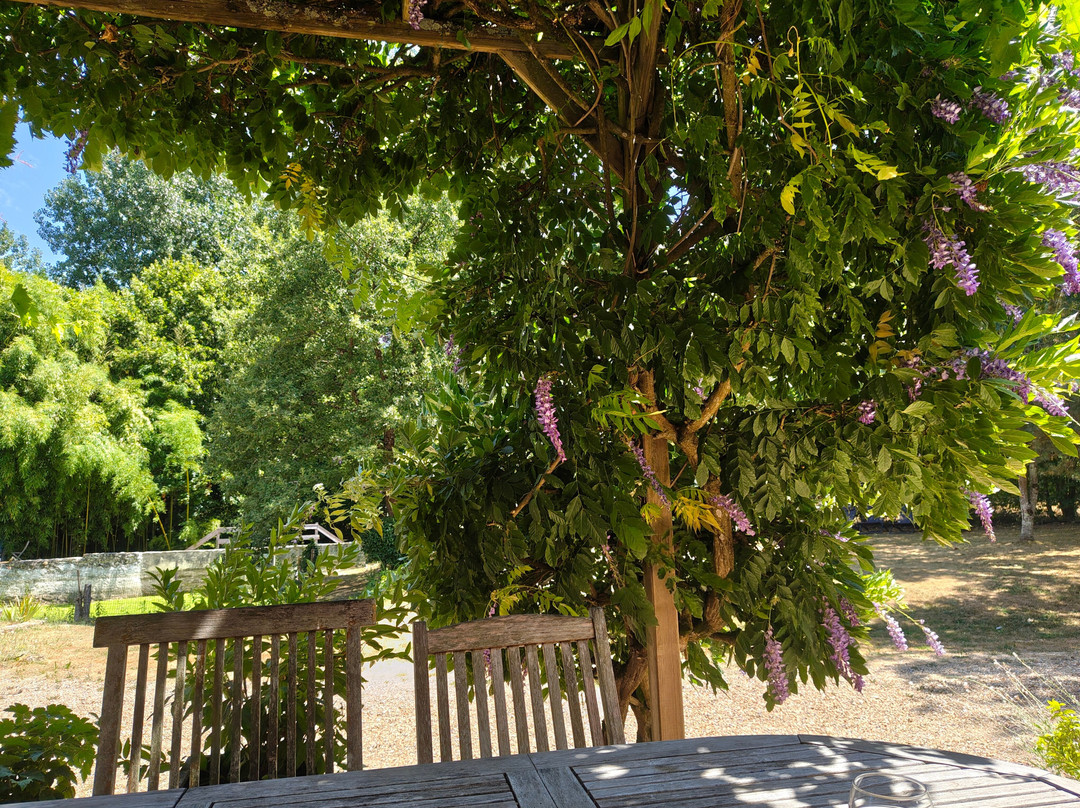 Moulin de la Diversiere, gîtes Avec Piscine en Pleine Nature主图