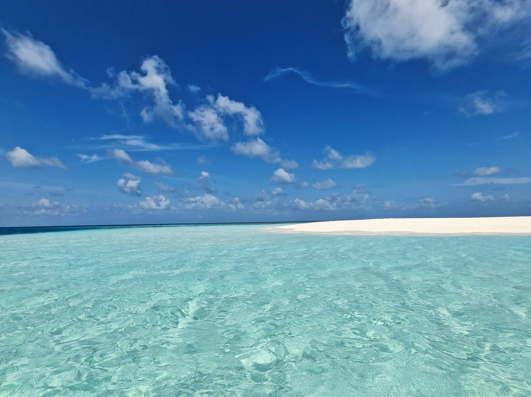 Into the Blue Lodge主图