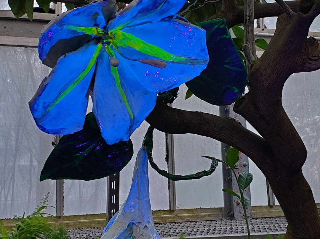 Krohn Conservatory-辛辛那提必去景点