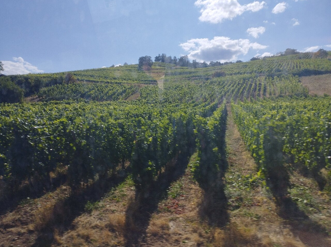 Route des Vins d'Alsace-科尔马必去景点